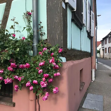 Prázdninový dům Mon Reve A Avec Spa, En Supplement, Sur La Route Des Vins Au Coeur De L'alsace *
