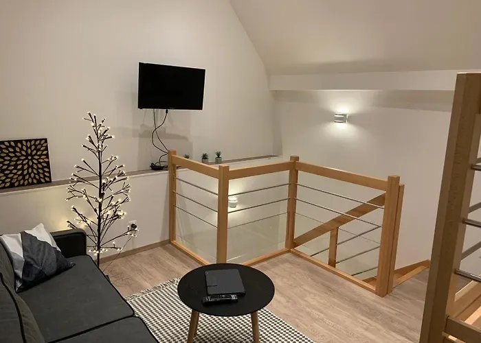 Mon Reve A Avec Sur La Route Des Vins Au Coeur De L'alsace Holiday home Scherwiller