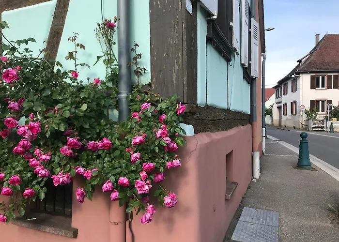 Holiday home Mon Reve A Avec Sur La Route Des Vins Au Coeur De L'alsace *